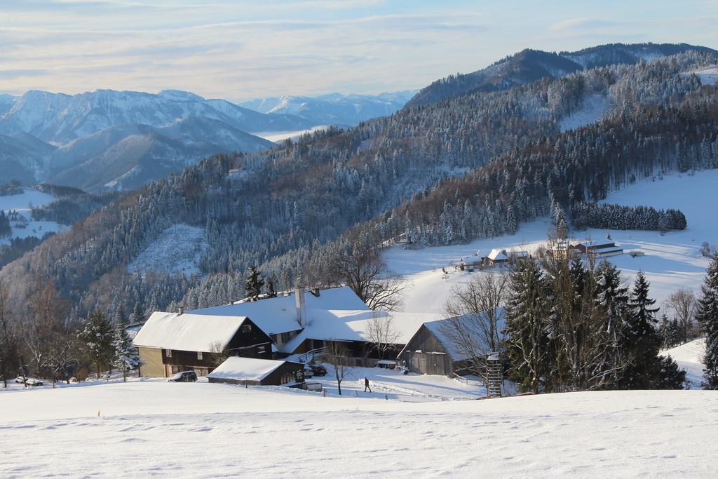 Hirmhof Villa Reinsberg Esterno foto