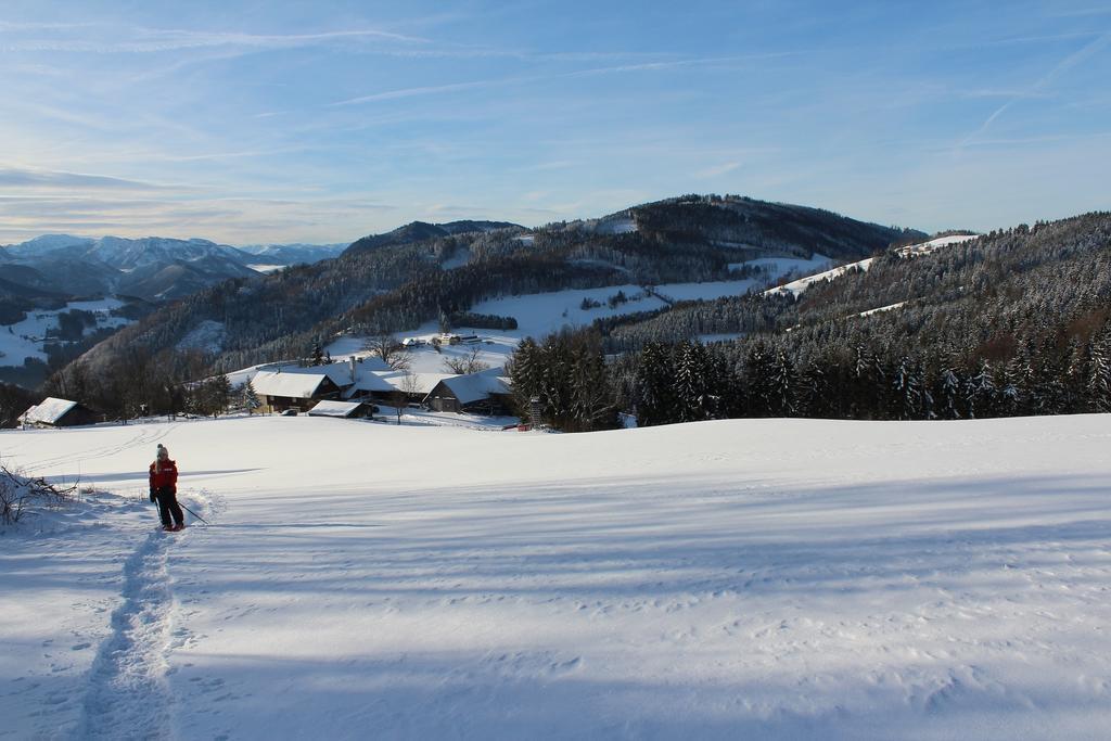 Hirmhof Villa Reinsberg Esterno foto