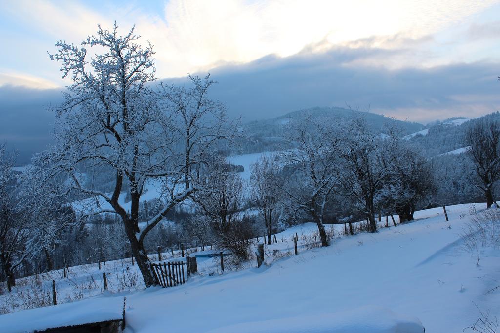 Hirmhof Villa Reinsberg Esterno foto