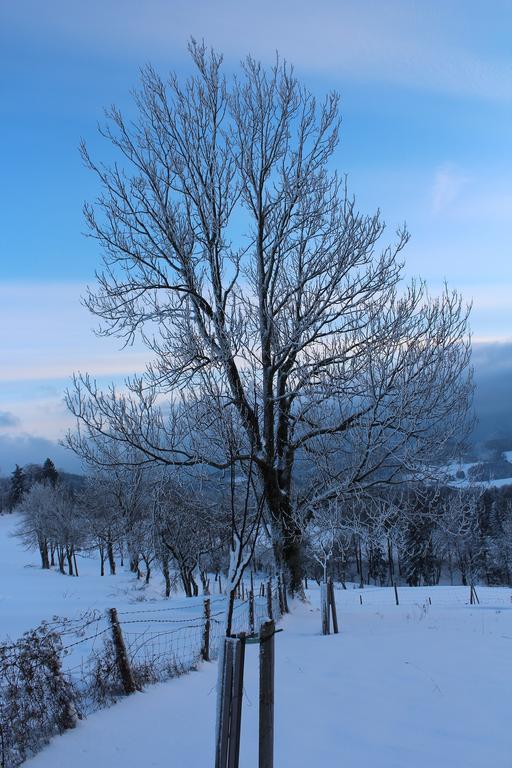 Hirmhof Villa Reinsberg Esterno foto