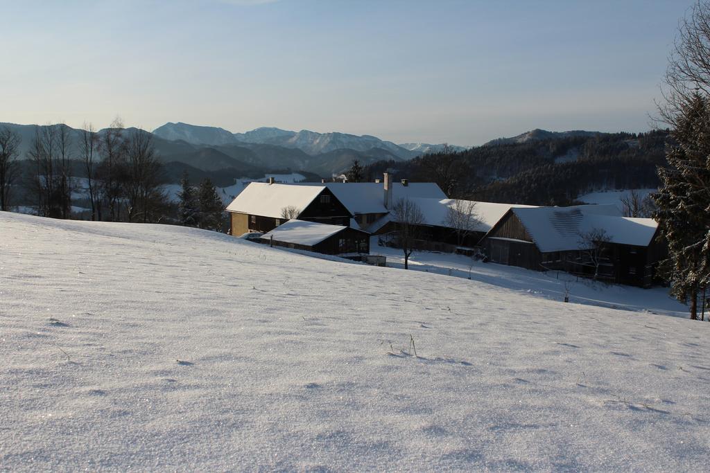 Hirmhof Villa Reinsberg Esterno foto