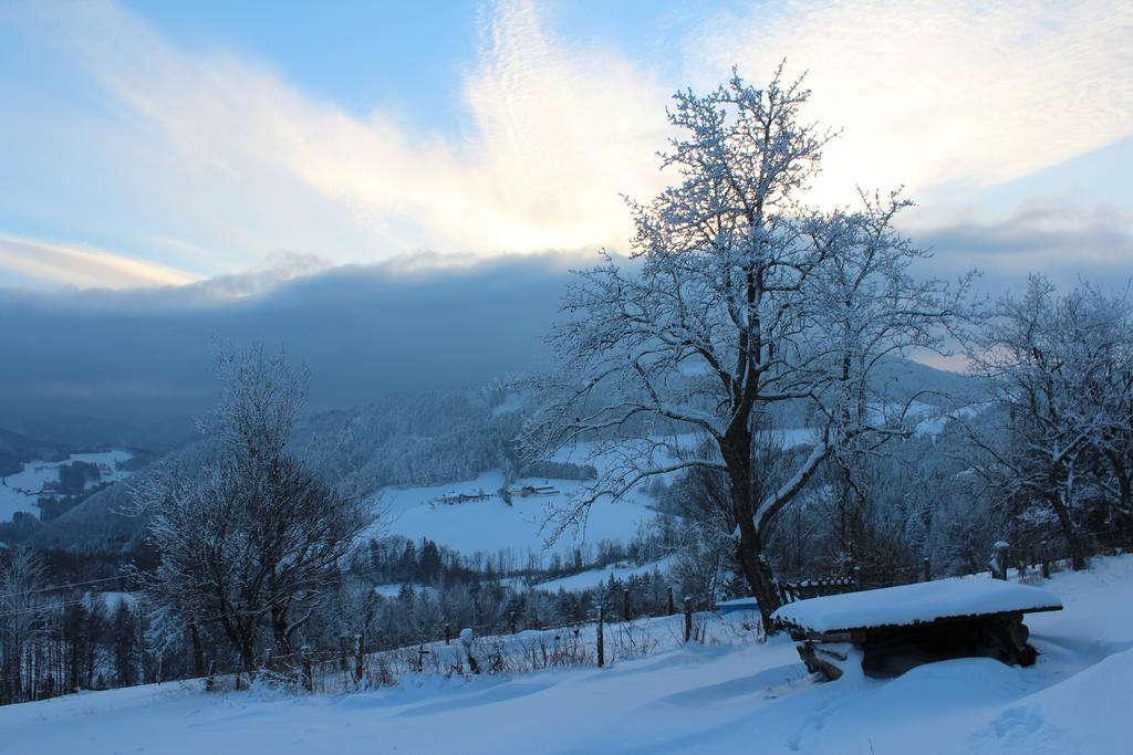 Hirmhof Villa Reinsberg Esterno foto