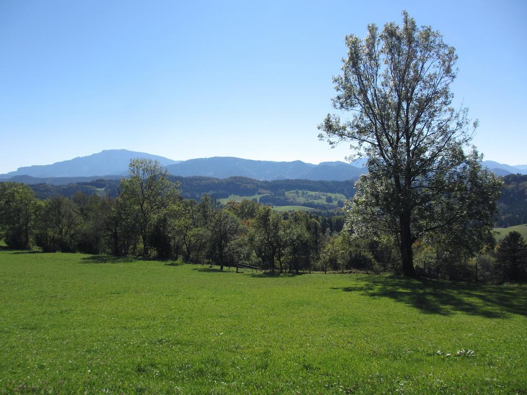 Hirmhof Villa Reinsberg Esterno foto