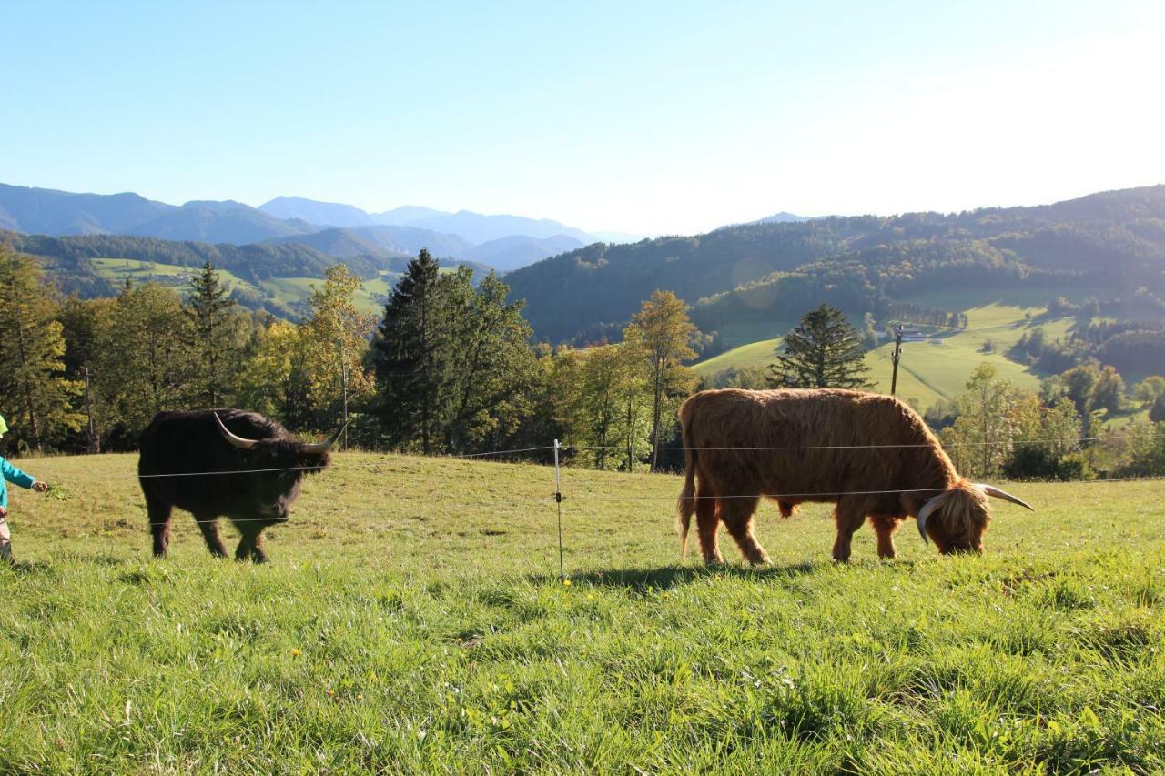 Hirmhof Villa Reinsberg Esterno foto